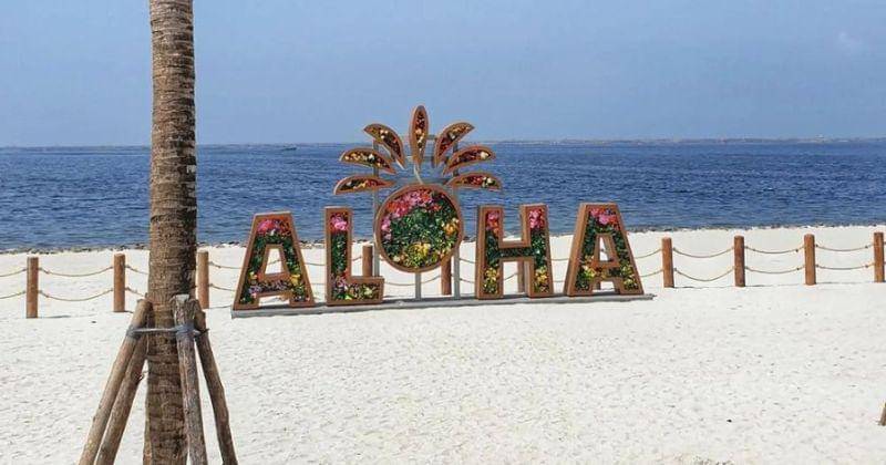 Instagram.com/princess_yelly_lee)